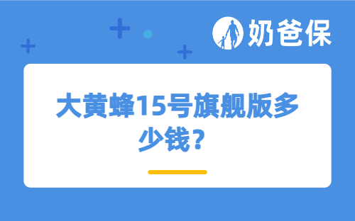 大黄蜂15号旗舰版多少钱？适合哪些人买？