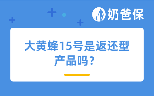 大黄蜂15号是返还型产品吗？大黄蜂15号旗舰版适合哪些人买？