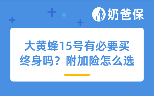 大黄蜂15号有必要买终身吗？附加险怎么选？