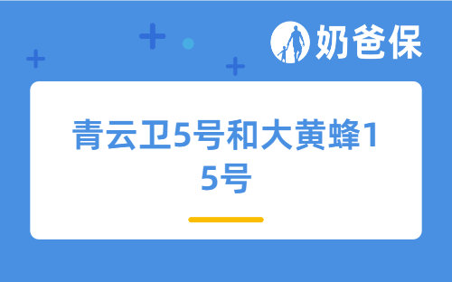 831停售潮：青云卫5号和大黄蜂15号，哪款更值得买？