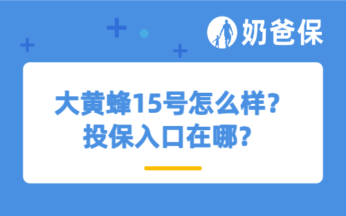 大黄蜂15号怎么样？投保入口在哪？