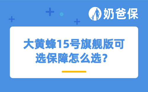 大黄蜂15号旗舰版可选保障怎么选？投保时要注意什么？