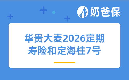 华贵大麦2026定期寿险和定海柱7号区别在哪?该怎么选?