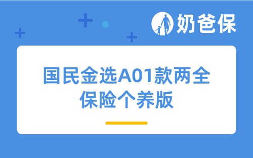 国民金选A01款两全保险个养版是哪家公司？值得买吗？
