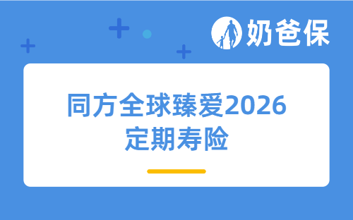 同方全球臻爱2026定期寿险怎么样？保障实用吗？