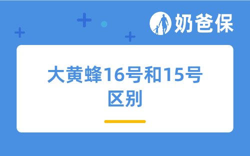 大黄蜂16号和15号的区别，这几点改动家长必看！