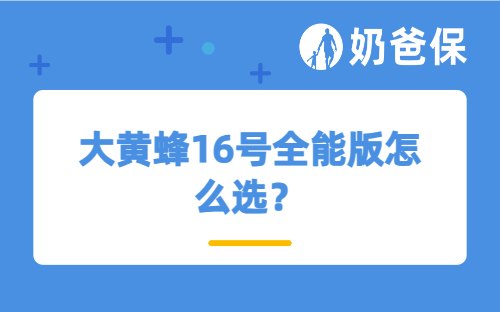 大黄蜂16号全能版怎么选？要注意什么？