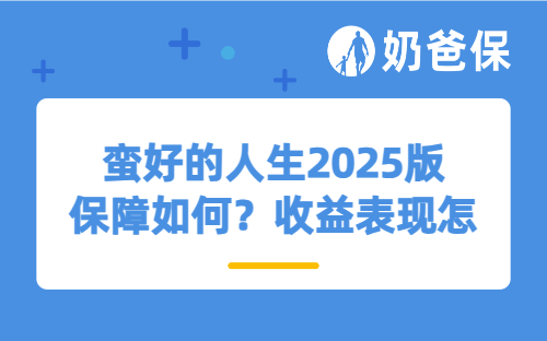 蛮好的人生2025版保障如何？收益表现怎么样？