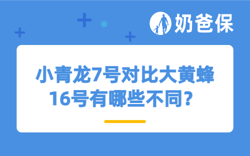 小青龙7号对比大黄蜂16号有哪些不同？怎么选？