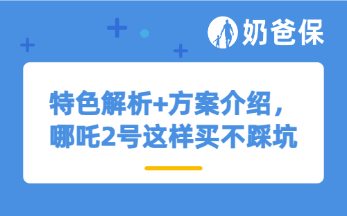特色解析+方案介绍，哪吒2号这样买不踩坑！