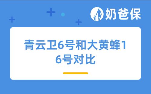 青云卫6号和大黄蜂16号对比，家长怎么选不踩坑？