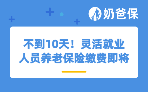 不到10天！灵活就业人员养老保险缴费即将截止，这些要点不要遗漏