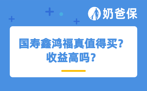 国寿鑫鸿福值不值得买?收益高吗？