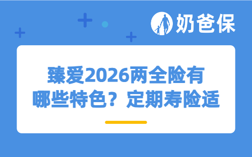 臻爱2026两全险有哪些特色？定期寿险适合哪些人买？