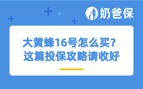 大黄蜂16号怎么买？这篇投保攻略请收好