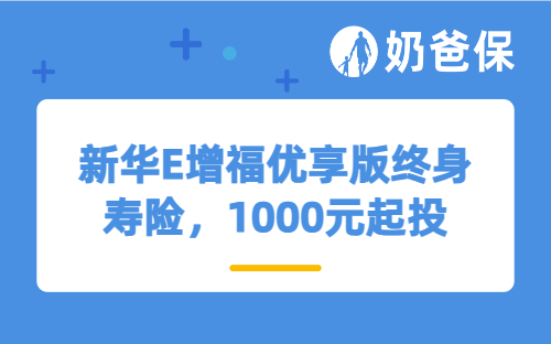 新华E增福优享版终身寿险，1000元起投，刚毕业的大学生也能买