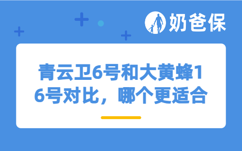 青云卫6号和大黄蜂16号对比，哪个更适合孩子？