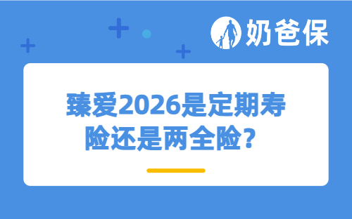 臻爱2026是定期寿险还是两全险？定期寿险多少保额才够？