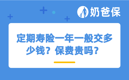 定期寿险一年一般交多少钱？保费贵吗？