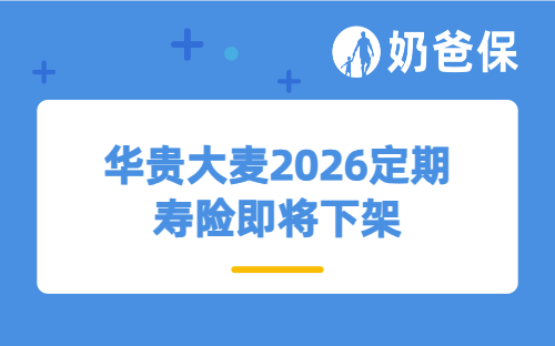 华贵大麦2026定期寿险即将下架，现在还值得入手吗？