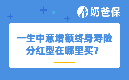 一生中意增额终身寿险分红型在哪里买？会下架吗？