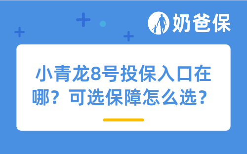 小青龙8号投保入口在哪？可选保障怎么选？