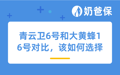 青云卫6号和大黄蜂16号对比，该如何选择？