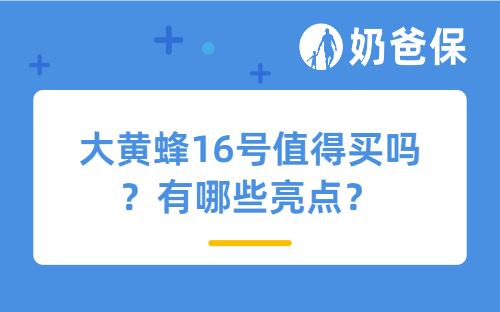 大黄蜂16号值得买吗？有哪些亮点？