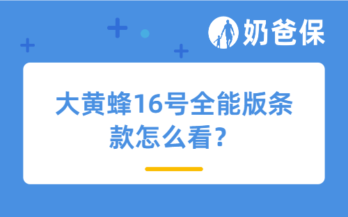 大黄蜂16号全能版条款怎么看？有哪些细节要注意？