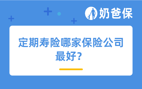 定期寿险哪家保险公司最好？哪些人适合买？