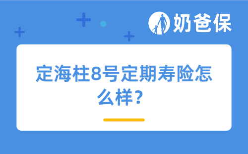 定海柱8号定期寿险怎么样？定期寿险300万保额够不够？