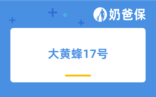 医保新规扩围+养娃成本飙升，大黄蜂17号值得买吗？
