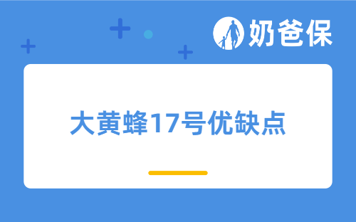 大黄蜂17号优缺点多吗？有哪些？