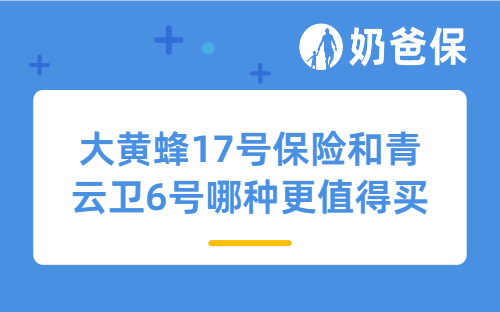 大黄蜂17号保险和青云卫6号哪种更值得买？该如何选？
