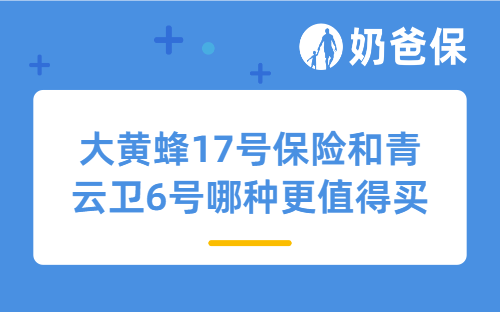 大黄蜂17号保险和青云卫6号哪种更值得买？该如何选？