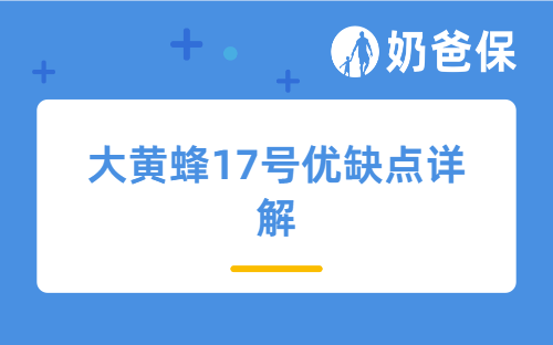 大黄蜂17号优缺点详解,值得给孩子投保吗?