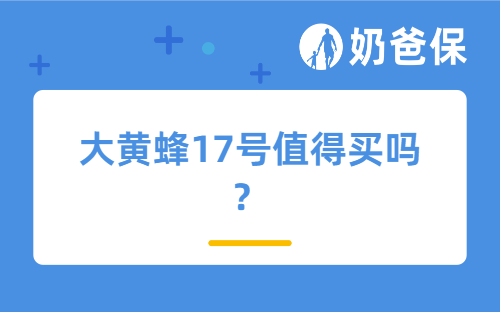 大黄蜂17号值得买吗？可选保障怎么附加性价比高？