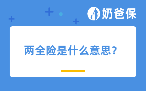 两全险是什么意思？对比一般的定期寿险有什么区别？