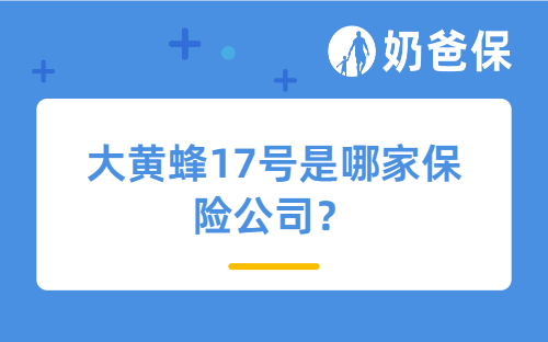 大黄蜂17号是哪家保险公司？有哪些特色？